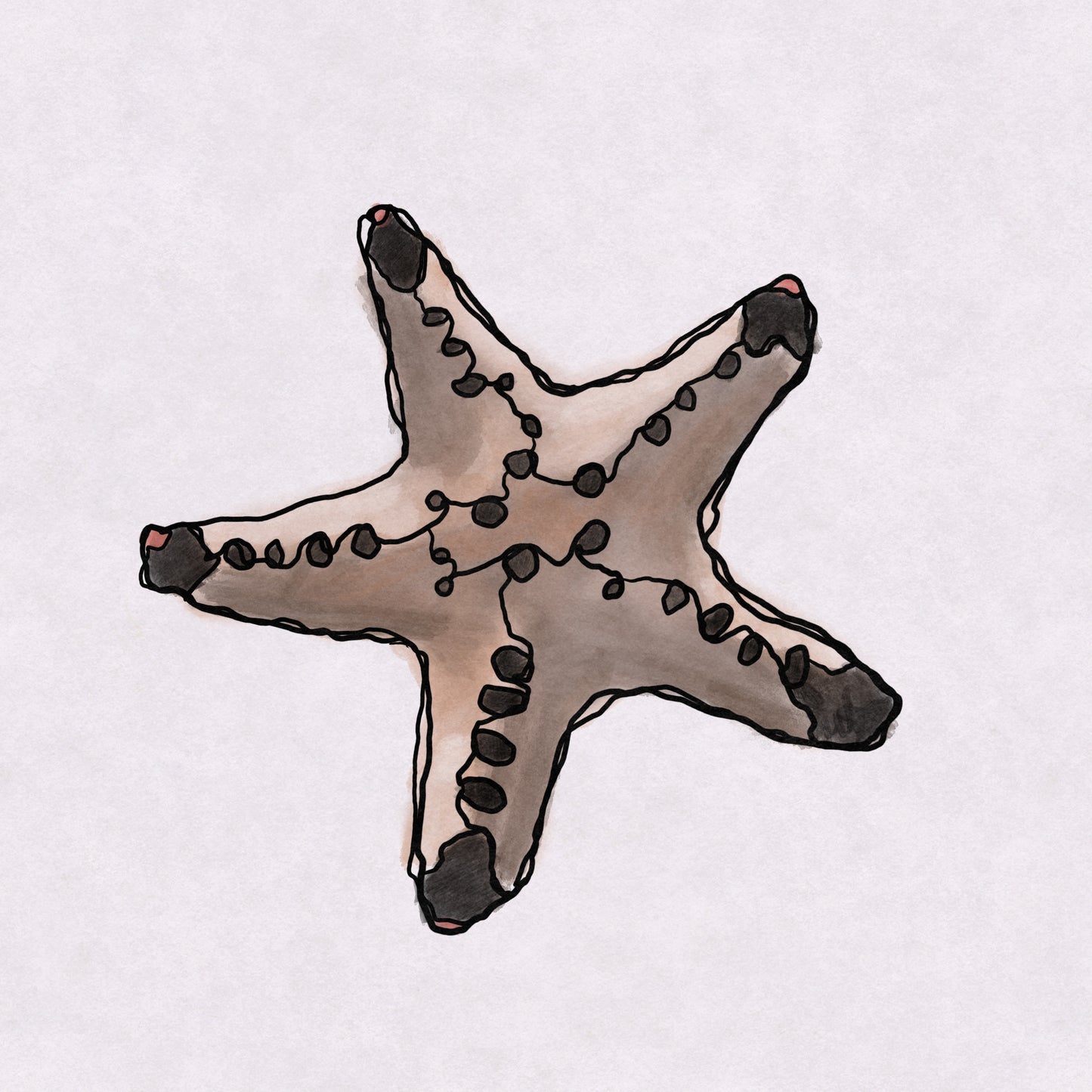 Whimsical art print of a chocolate chip starfish in sand tones by VCBD Studios