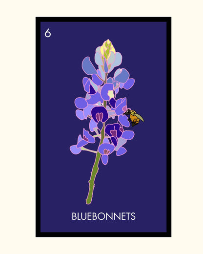 Bluebonnets - VCBD Studios