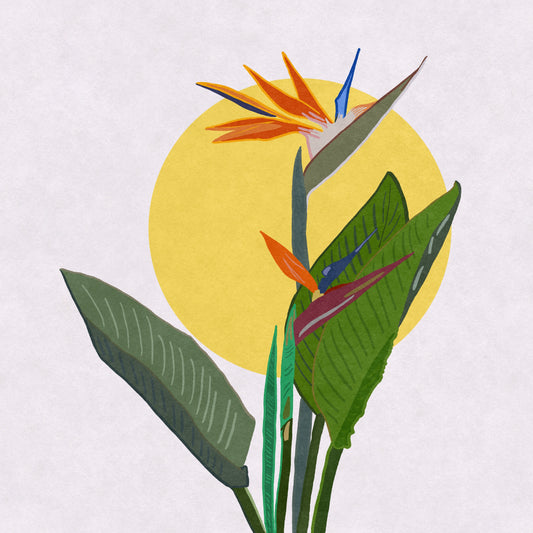 Illustrated art print of a Bird of Paradise flower in bold orange and green by VCBD Studios